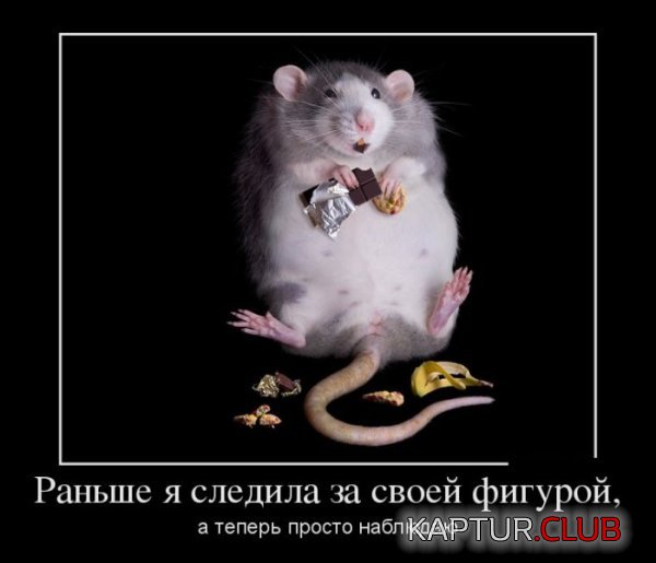 1397474916_demotivatori_02.jpg | Рено Каптур Клуб Россия | Форум KAPTUR.SU