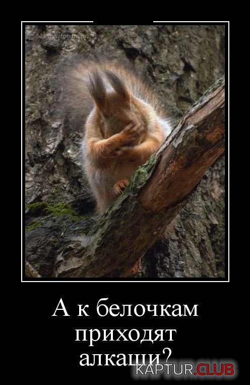 1397475014_demotivatori_06.jpg | Рено Каптур Клуб Россия | Форум KAPTUR.SU