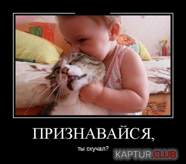 1397645895_demotivatory_23.jpg | Рено Каптур Клуб Россия | Форум KAPTUR.SU