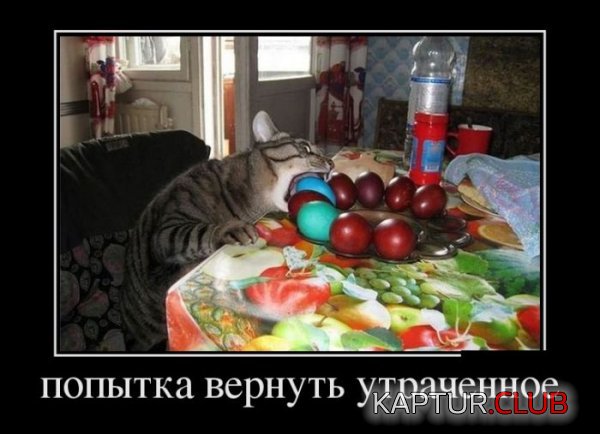 1398328846_demotivatory_20.jpg | Рено Каптур Клуб Россия | Форум KAPTUR.SU