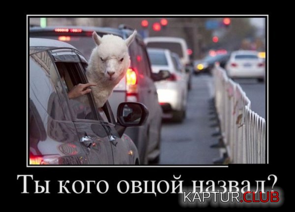 1398328859_demotivatory_27.jpg | Рено Каптур Клуб Россия | Форум KAPTUR.SU