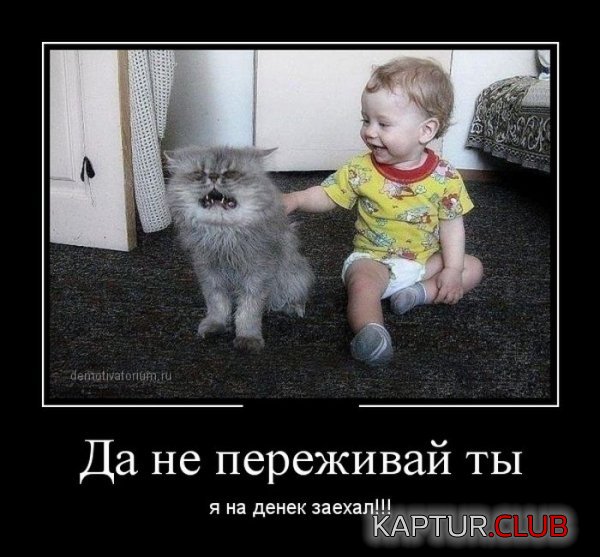1398855529_demotivatory_10.jpg | Рено Каптур Клуб Россия | Форум KAPTUR.SU