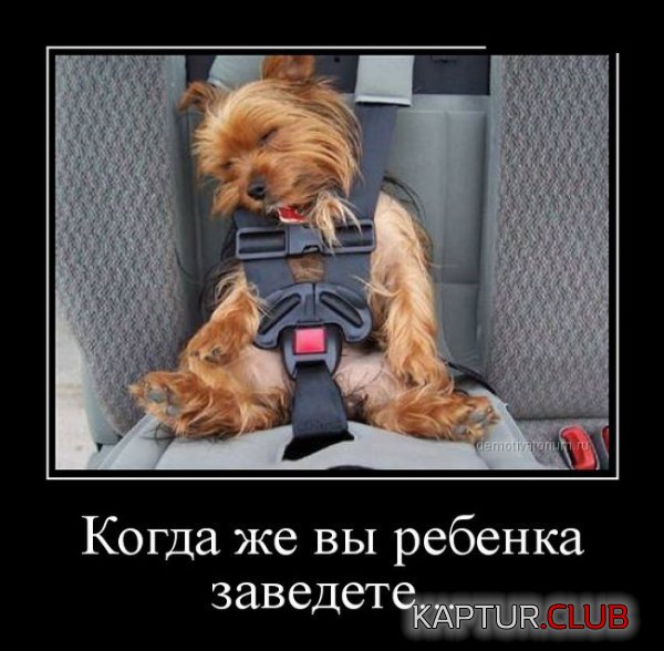 1399540233_demotivatory_24.jpg | Рено Каптур Клуб Россия | Форум KAPTUR.SU