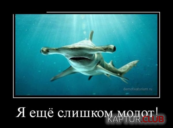 1399540284_demotivatory_15.jpg | Рено Каптур Клуб Россия | Форум KAPTUR.SU