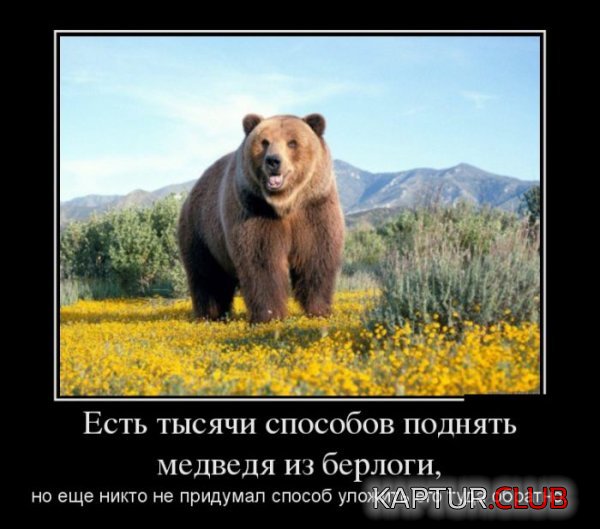 1399882885_demotivatory_01.jpg | Рено Каптур Клуб Россия | Форум KAPTUR.SU