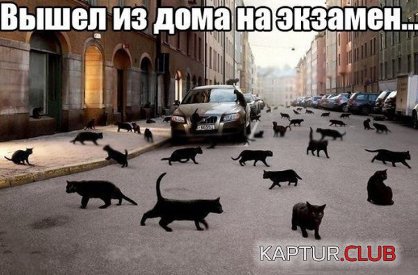 1400230172_podb_03.jpg | Рено Каптур Клуб Россия | Форум KAPTUR.SU
