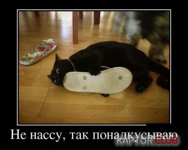 1400488705_demotivatory_10.jpg | Рено Каптур Клуб Россия | Форум KAPTUR.SU