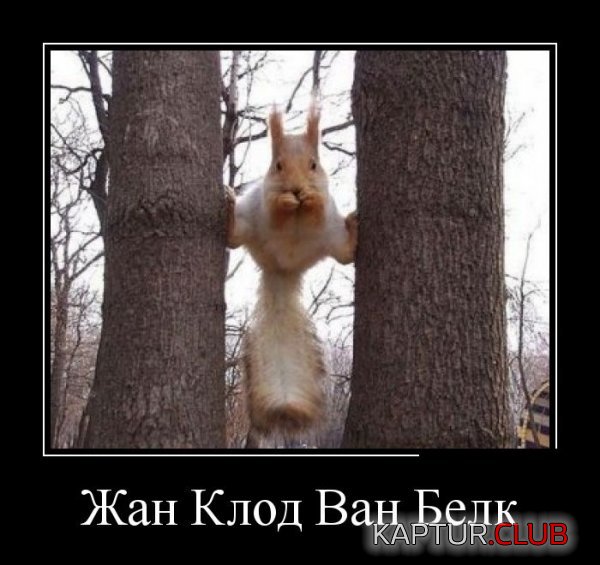 1400834839_demotivatory_19.jpg | Рено Каптур Клуб Россия | Форум KAPTUR.SU