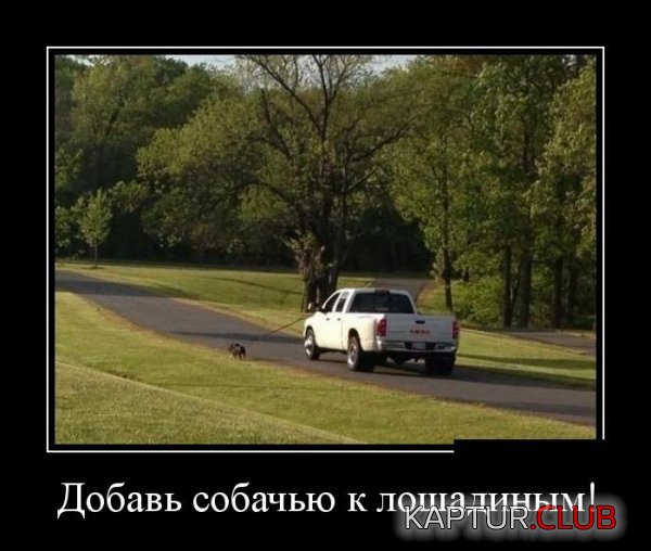 1401443102_demotivatory_06.jpg | Рено Каптур Клуб Россия | Форум KAPTUR.SU
