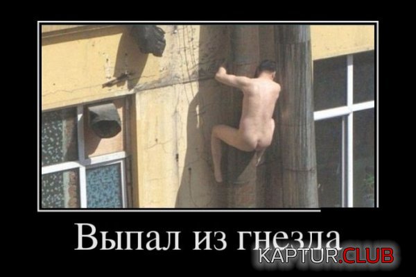 1401698398_demotivatory_10.jpg | Рено Каптур Клуб Россия | Форум KAPTUR.SU