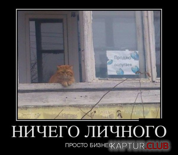 1401698418_demotivatory_20.jpg | Рено Каптур Клуб Россия | Форум KAPTUR.SU