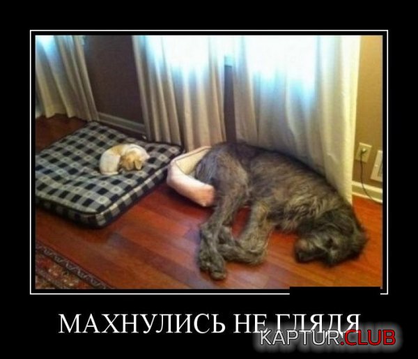 1402044856_dmotivatory_20.jpg | Рено Каптур Клуб Россия | Форум KAPTUR.SU