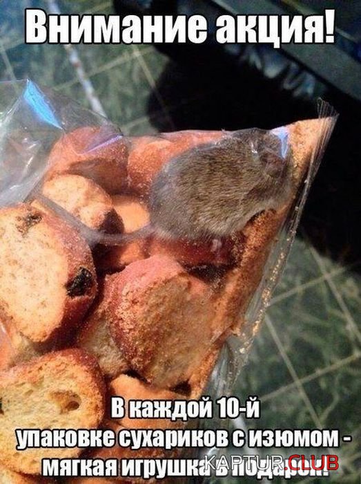 1402045438_podborka_39.jpg | Рено Каптур Клуб Россия | Форум KAPTUR.SU