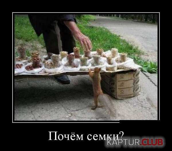 1402302193_demotivatory_30.jpg | Рено Каптур Клуб Россия | Форум KAPTUR.SU