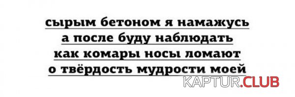 1402302442_podborka_28.jpg | Рено Каптур Клуб Россия | Форум KAPTUR.SU