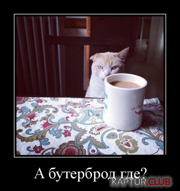 1403598112_demotivatory_01.jpg | Рено Каптур Клуб Россия | Форум KAPTUR.SU