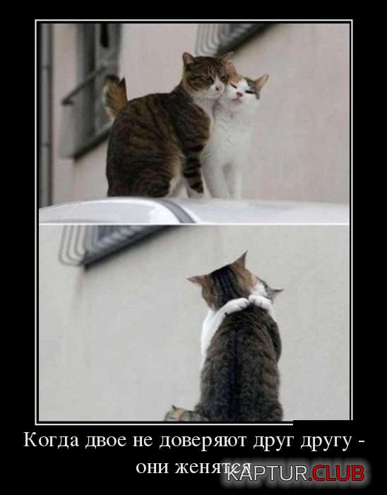 1403598301_demotivatory_18.jpg | Рено Каптур Клуб Россия | Форум KAPTUR.SU