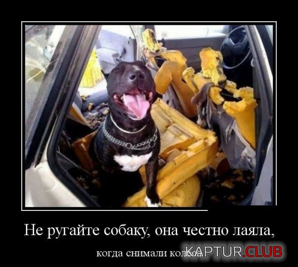 1403598370_demotivatory_29.jpg | Рено Каптур Клуб Россия | Форум KAPTUR.SU