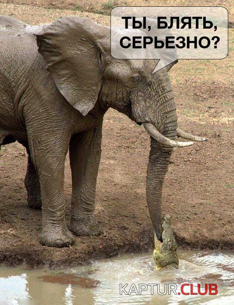 1403598639_podborka_13.jpg | Рено Каптур Клуб Россия | Форум KAPTUR.SU