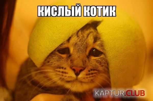 1403685568_kartinki_i_nadpisi_03.jpg | Рено Каптур Клуб Россия | Форум KAPTUR.SU