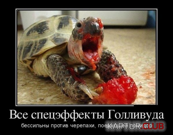 1403691937_demotivatory_26.jpg | Рено Каптур Клуб Россия | Форум KAPTUR.SU