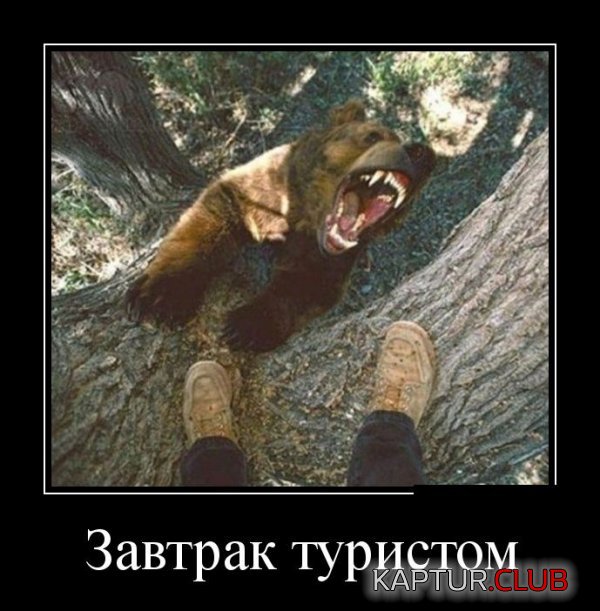 1404297187_demotivatory_12.jpg | Рено Каптур Клуб Россия | Форум KAPTUR.SU
