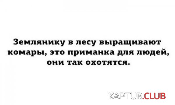 1404732296_podborka_08.jpg | Рено Каптур Клуб Россия | Форум KAPTUR.SU