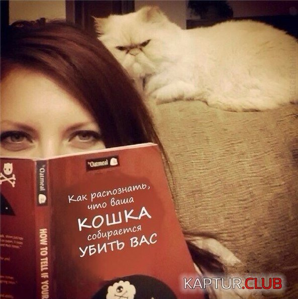 1404813236_podb_02.jpg | Рено Каптур Клуб Россия | Форум KAPTUR.SU