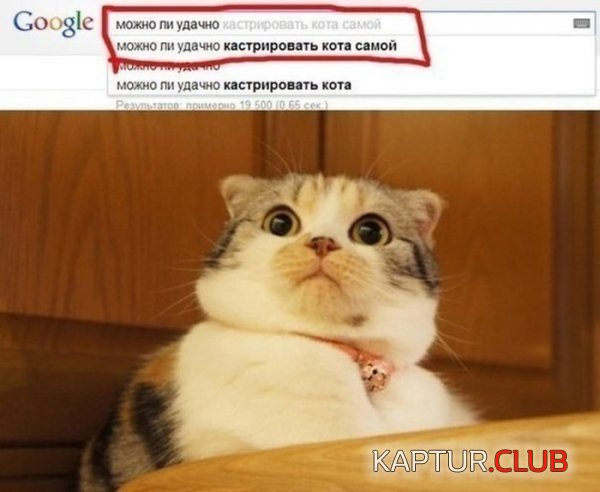 1404889008_podb_04.jpg | Рено Каптур Клуб Россия | Форум KAPTUR.SU