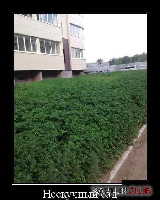 1405060185_demotivatory_09.jpg | Рено Каптур Клуб Россия | Форум KAPTUR.SU