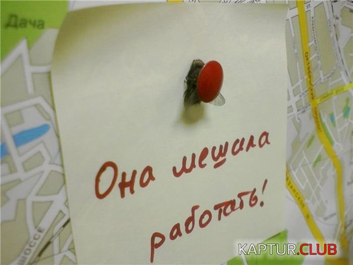 1405301668_0001-11.jpg | Рено Каптур Клуб Россия | Форум KAPTUR.SU