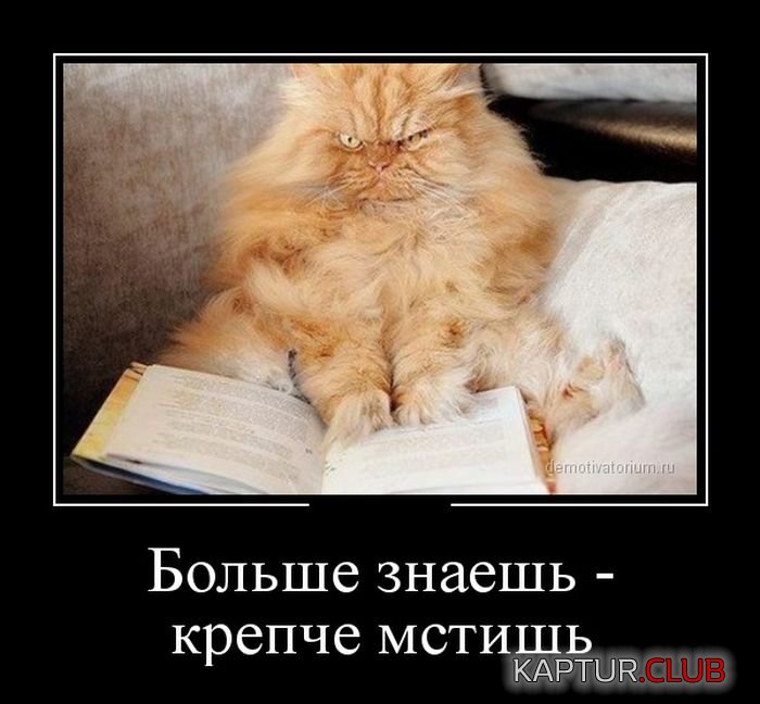 1409900596_demotivatory_05.jpg | Рено Каптур Клуб Россия | Форум KAPTUR.SU
