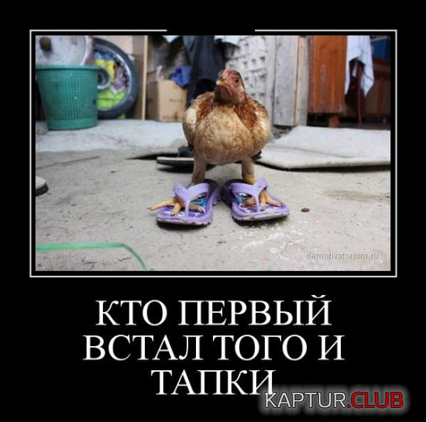 1409900661_demotivatory_15.jpg | Рено Каптур Клуб Россия | Форум KAPTUR.SU