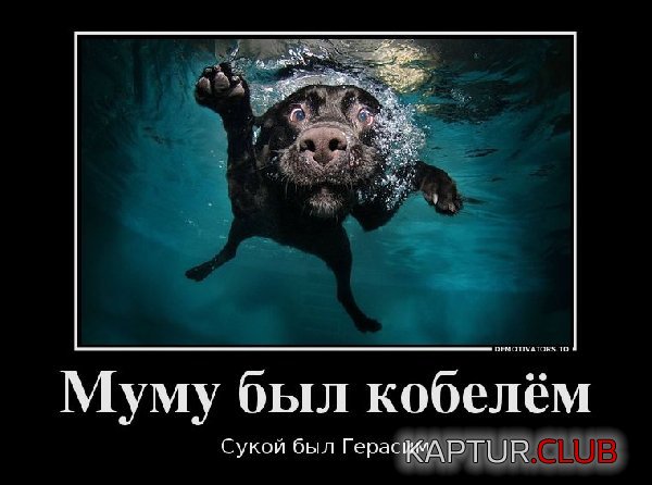 141013.jpg | Рено Каптур Клуб Россия | Форум KAPTUR.SU