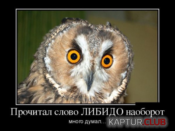 1410244530_demotivatory_25.jpg | Рено Каптур Клуб Россия | Форум KAPTUR.SU