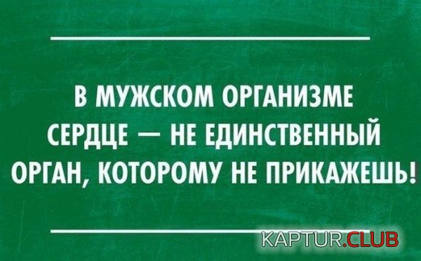 1410855299_podborka_96.jpg | Рено Каптур Клуб Россия | Форум KAPTUR.SU