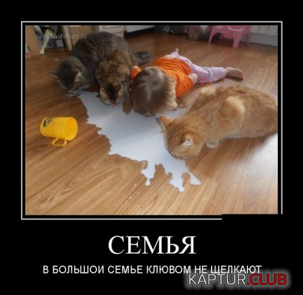 1412779696_demotivatory_03.jpg | Рено Каптур Клуб Россия | Форум KAPTUR.SU
