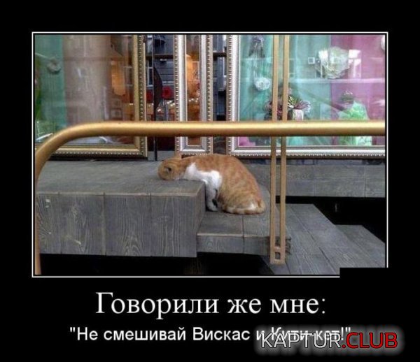 1414048052_demotivatory_28.jpg | Рено Каптур Клуб Россия | Форум KAPTUR.SU