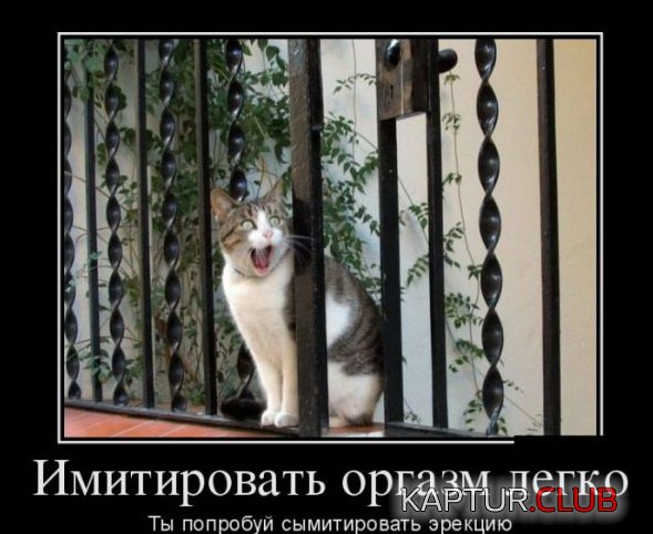 1414480403_demotivatory_07.jpg | Рено Каптур Клуб Россия | Форум KAPTUR.SU