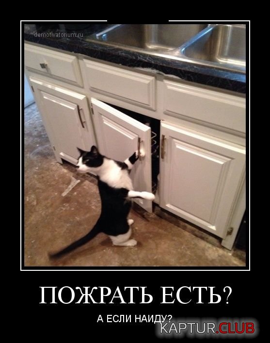 1414480434_demotivatory_21.jpg | Рено Каптур Клуб Россия | Форум KAPTUR.SU