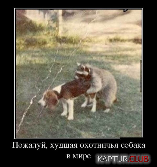 1414480476_demotivatory_16.jpg | Рено Каптур Клуб Россия | Форум KAPTUR.SU