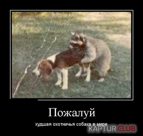 1415002948_demotivatory_22.jpg | Рено Каптур Клуб Россия | Форум KAPTUR.SU