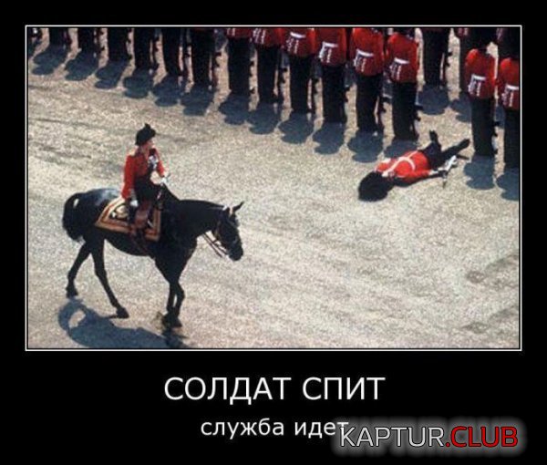 1415695049_demotivatory_09.jpg | Рено Каптур Клуб Россия | Форум KAPTUR.SU
