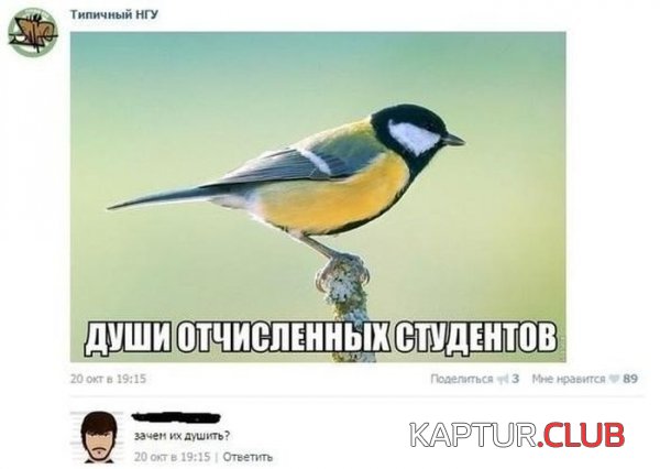 1415782790_podborka_44.jpg | Рено Каптур Клуб Россия | Форум KAPTUR.SU