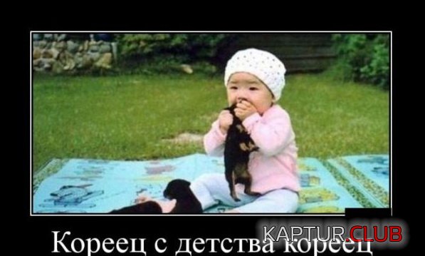 1415865529_demotivatory_23.jpg | Рено Каптур Клуб Россия | Форум KAPTUR.SU