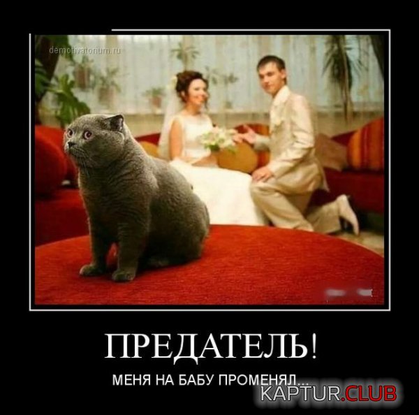 1416380496_demotivatory_04.jpg | Рено Каптур Клуб Россия | Форум KAPTUR.SU