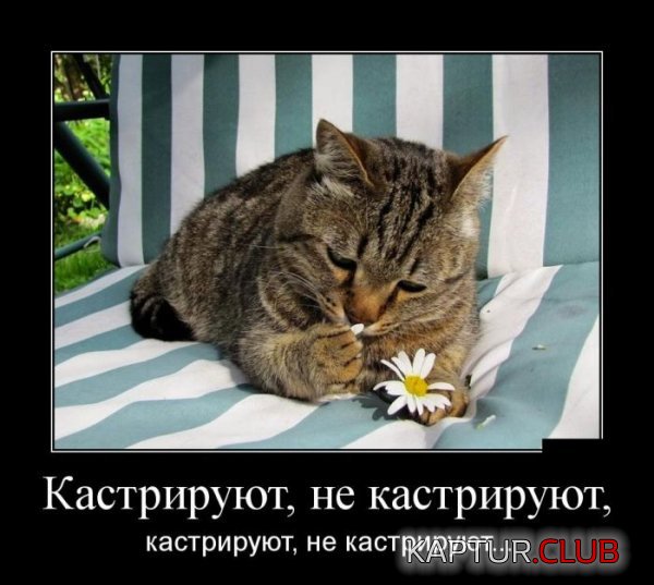 1416380582_demotivatory_24.jpg | Рено Каптур Клуб Россия | Форум KAPTUR.SU