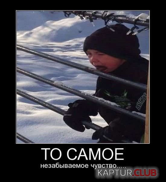 1416559036_demotivatory_30.jpg | Рено Каптур Клуб Россия | Форум KAPTUR.SU