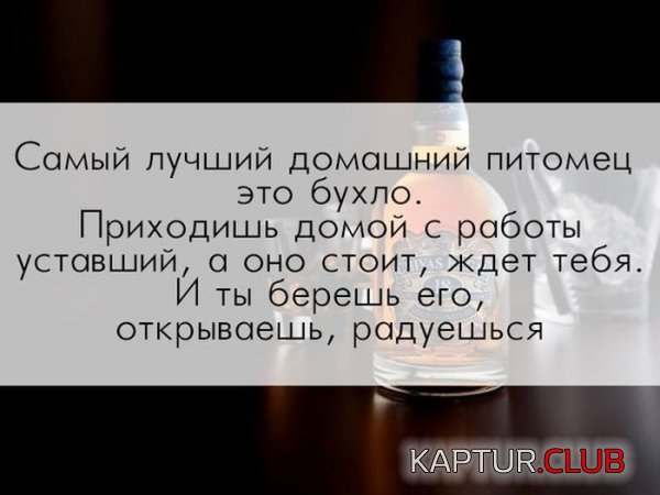1417163860_podborka_30.jpg | Рено Каптур Клуб Россия | Форум KAPTUR.SU