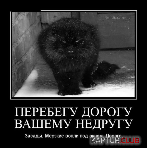 1417440247_demotivatory_08.jpg | Рено Каптур Клуб Россия | Форум KAPTUR.SU